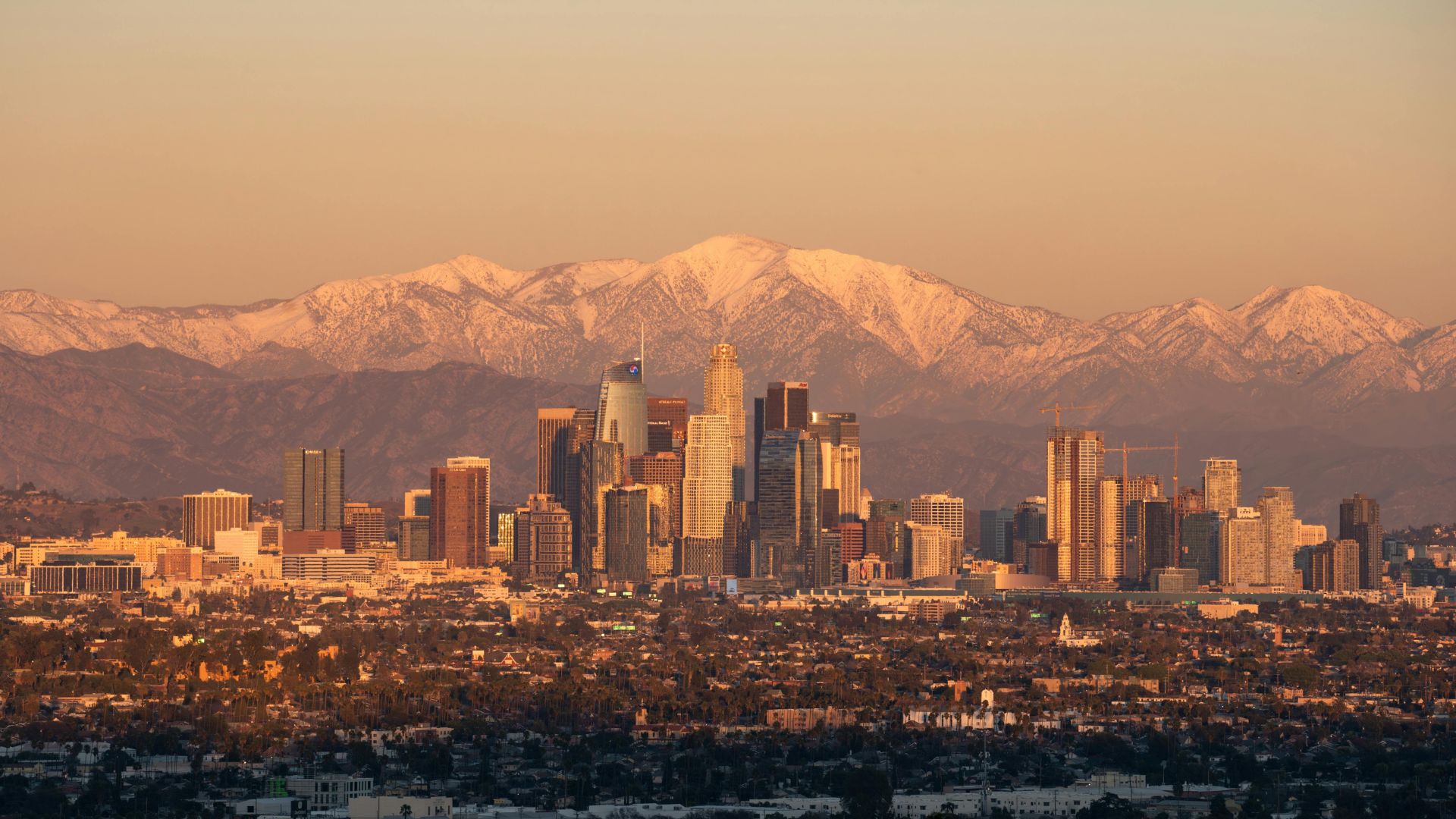 Making Sense of Coverage, Denti-Cal, and Budget-Friendly Care for Los Angeles Families image